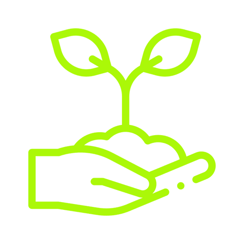 plantar.png
